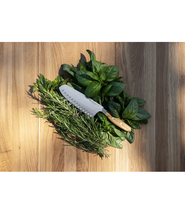 Wusthof Amici santoku 17cm