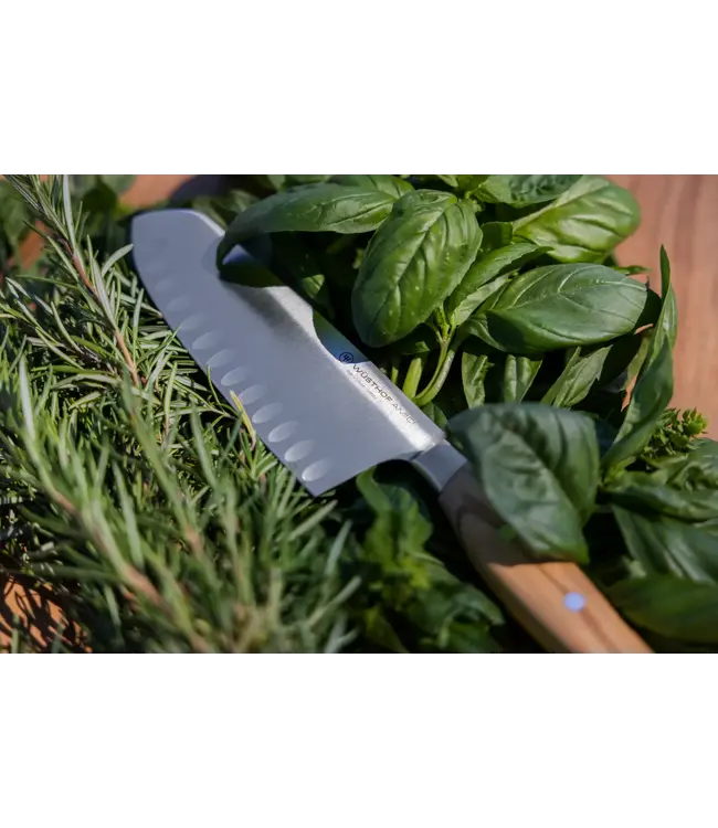 Wusthof Amici santoku 17cm