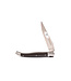 Laguiole en Aubrac 12cm ebbenhout - 2 mittre - elégant - mat