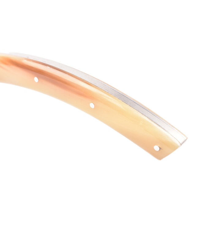 M.C.Cognet Le Thiers punthoorn