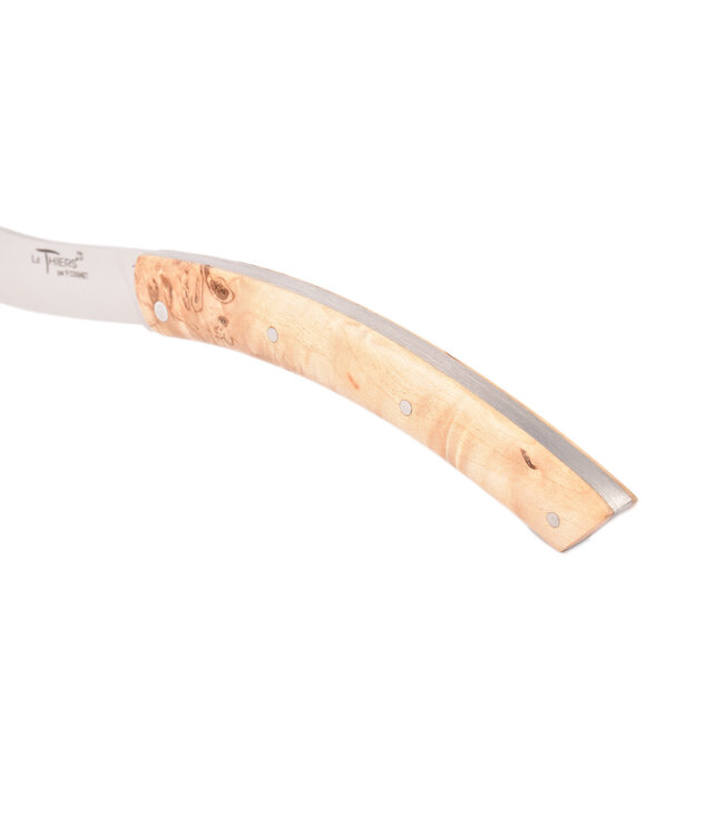 M.C.Cognet Le Thiers berk