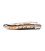 Laguiole en Aubrac 12cm ramshoorn - mat