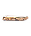 Laguiole en Aubrac 12cm as - groene plaatjes - plein manche - mat