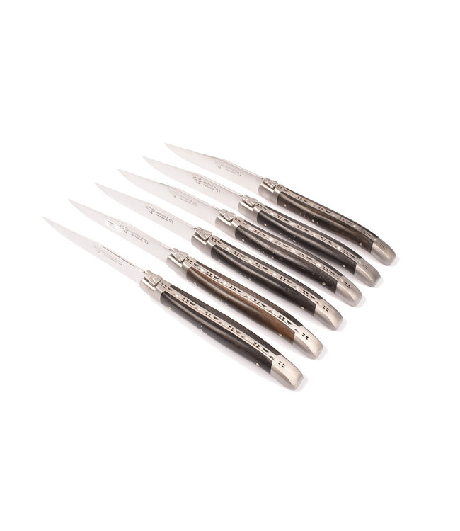 Laguiole en Aubrac 6 steakmessen ebben - mat