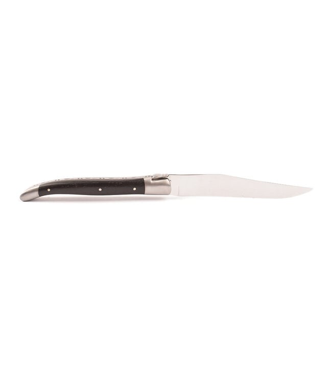 Laguiole en Aubrac 6 steakmessen ebben - mat