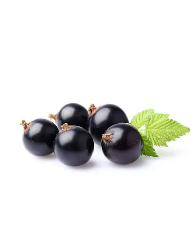 Muhle body soap bar - Essentials - 100 gram