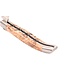 Laguiole en Aubrac 12cm kastanje - doubles platines - mat