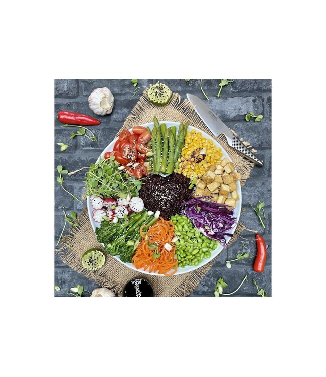 Global GS-35 santoku 13cm