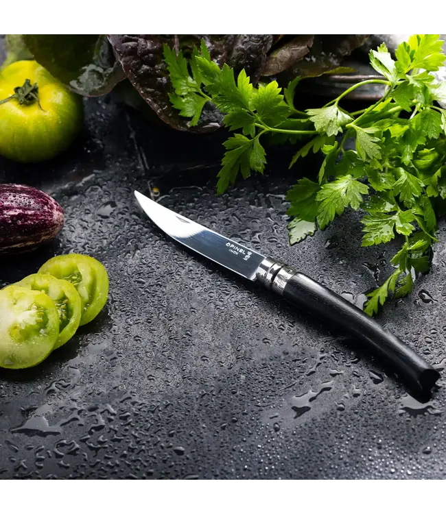Opinel N°10 effilé met heft in ebbenhout