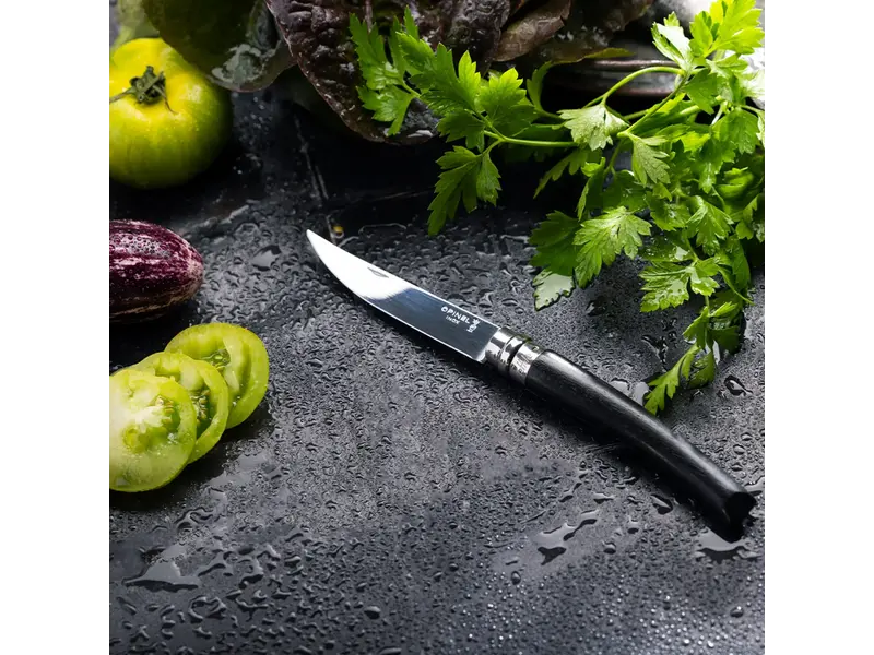 Opinel N°10 effilé met heft in ebbenhout