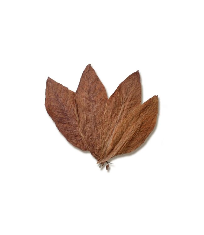 Taylor of Old Bond Street scheercreme - Tobacco Leaf - 150 g