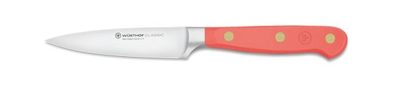 Classic Coral Peach