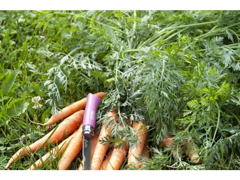Opinel N°07 'My First Opinel' fuchsia