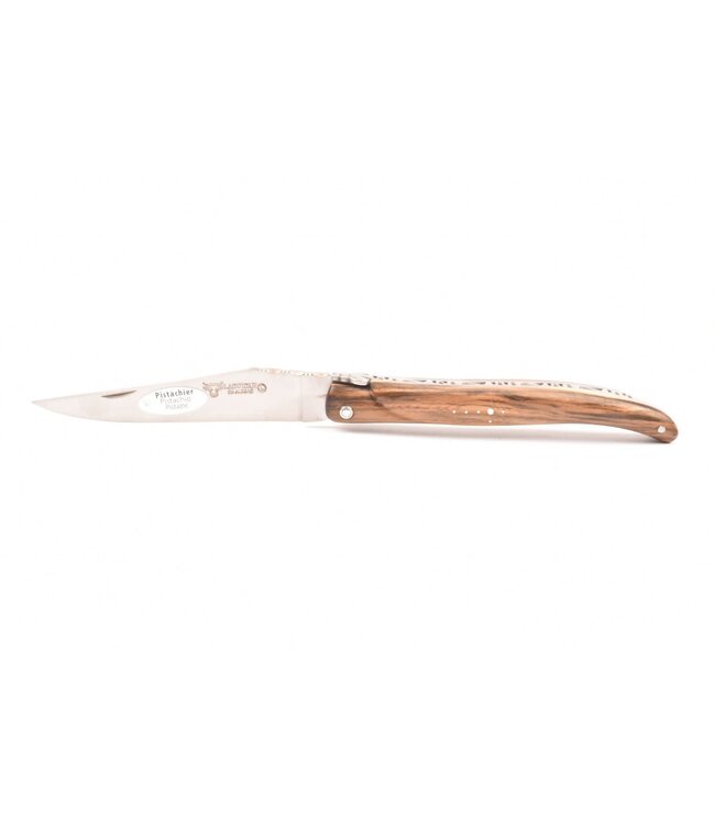 Laguiole en Aubrac 12cm pistache - plein manche - mat