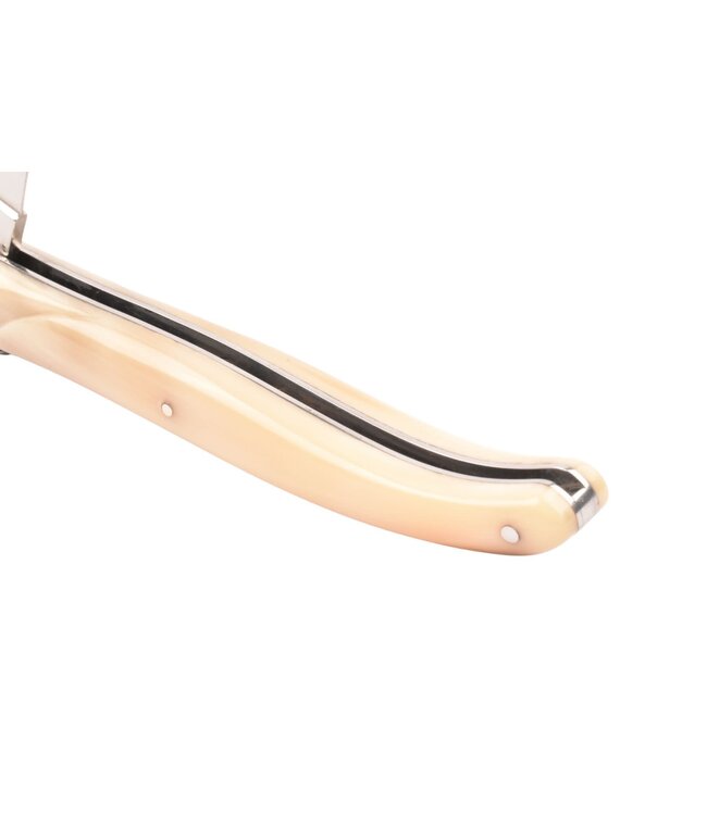 Laguiole en Aubrac 12cm punthoorn - plein manche - mat