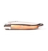 Laguiole en Aubrac 12cm punthoorn - spirale - double platines - glanzend