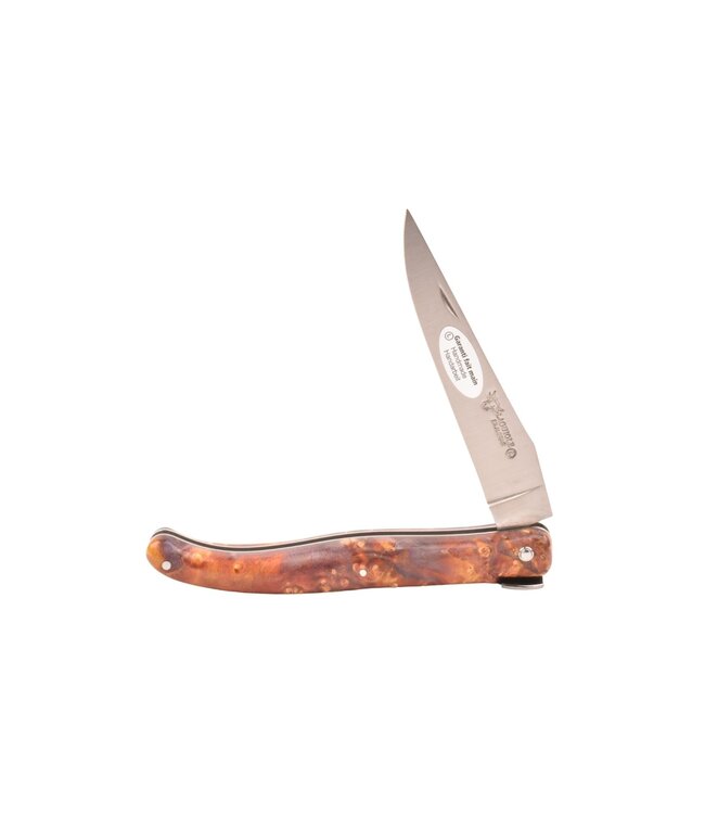 Laguiole en Aubrac 12cm Big Bang - vuurvlierbes wortel oranje - plein manche