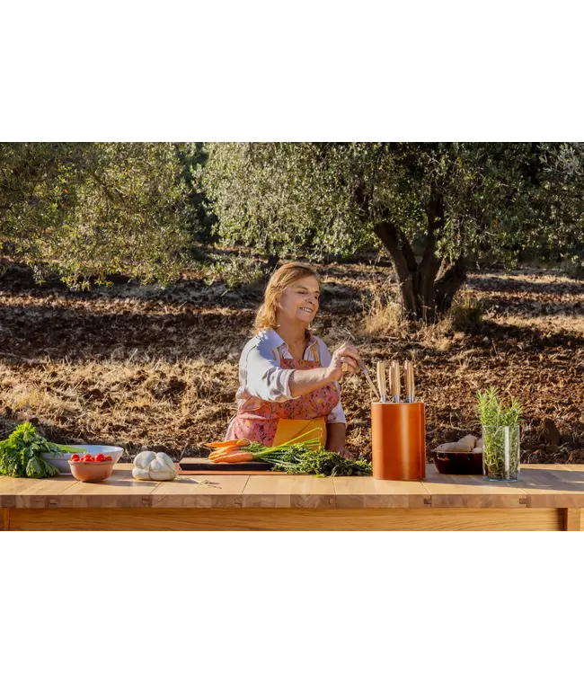 Wusthof Amici messenblok in beuk en leer voor 6 messen