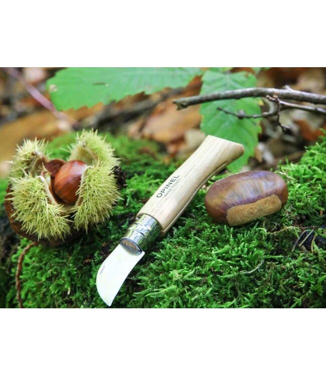 Opinel N°07 kastanje knoflook scheller en vruchten ontpitter