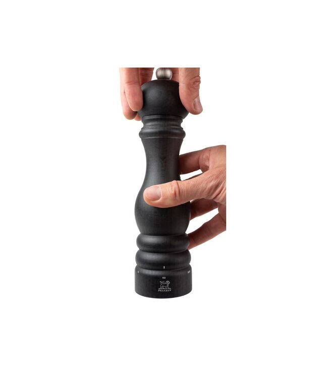 peugeot zoutmolen hout graphite - 22cm