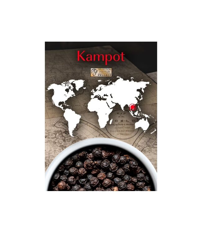 peugeot Kampot noire - zwarte peper uit Cambodja - 60gram