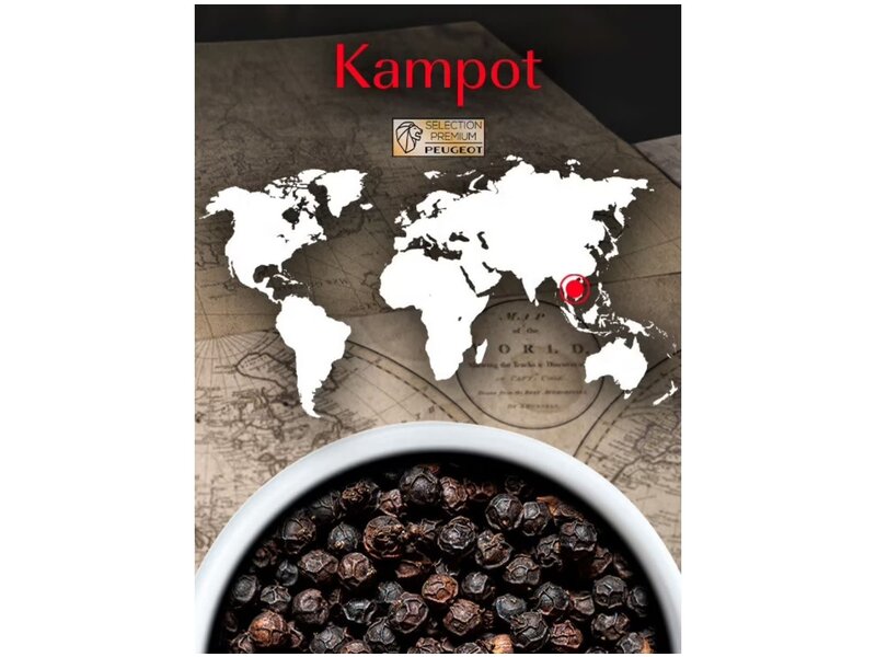 peugeot Kampot noire - zwarte peper uit Cambodja - 60gram