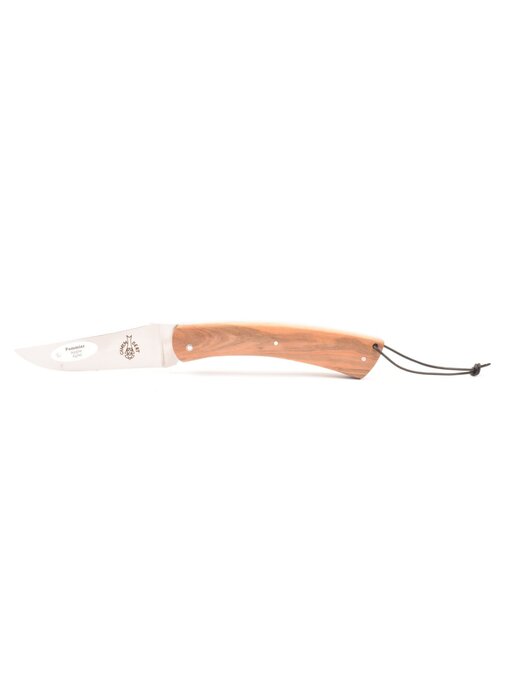 Camembert 11cm appel
