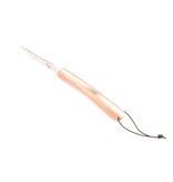 Camembert 11cm appel