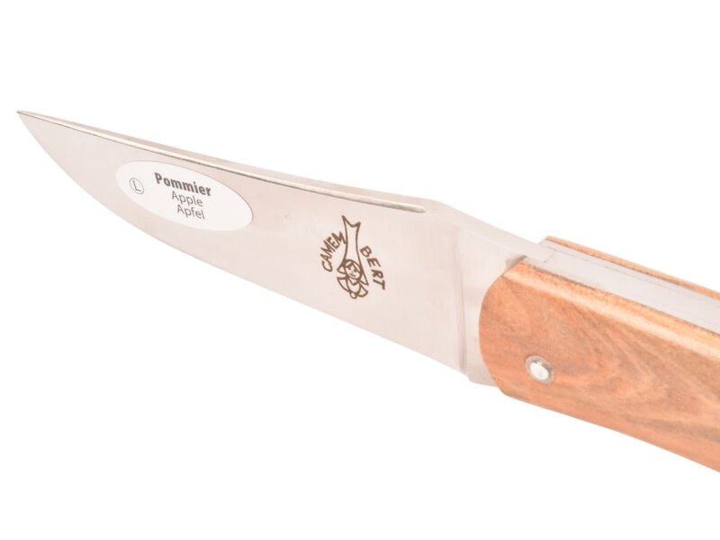 Camembert 11cm appel