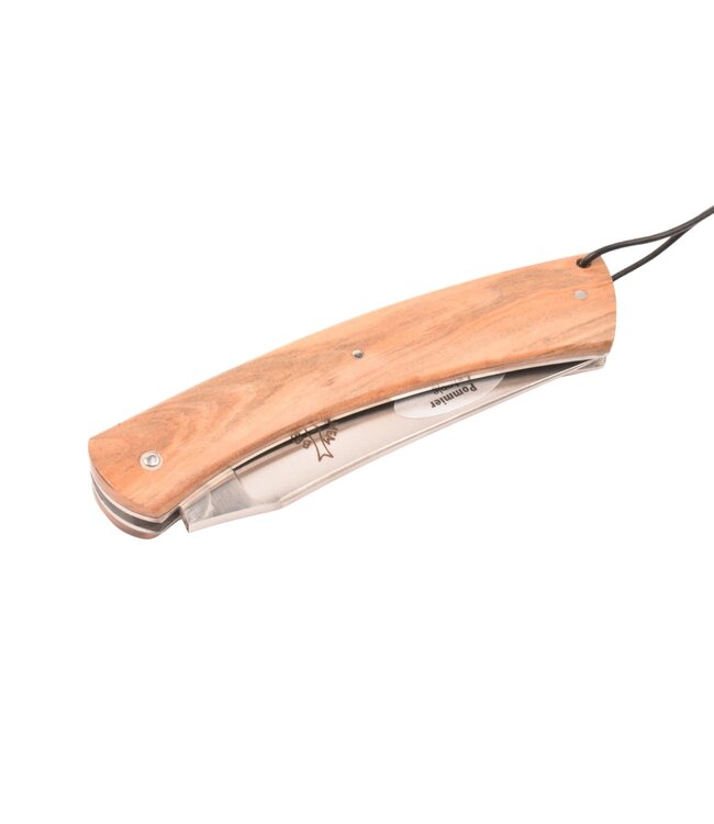 Camembert 11cm appel