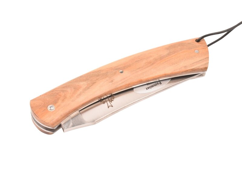 Camembert 11cm appel