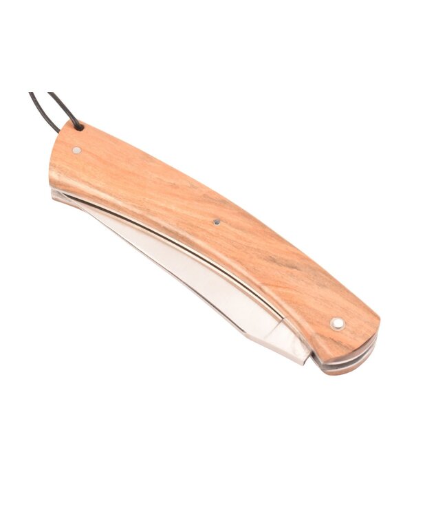 Camembert 11cm appel