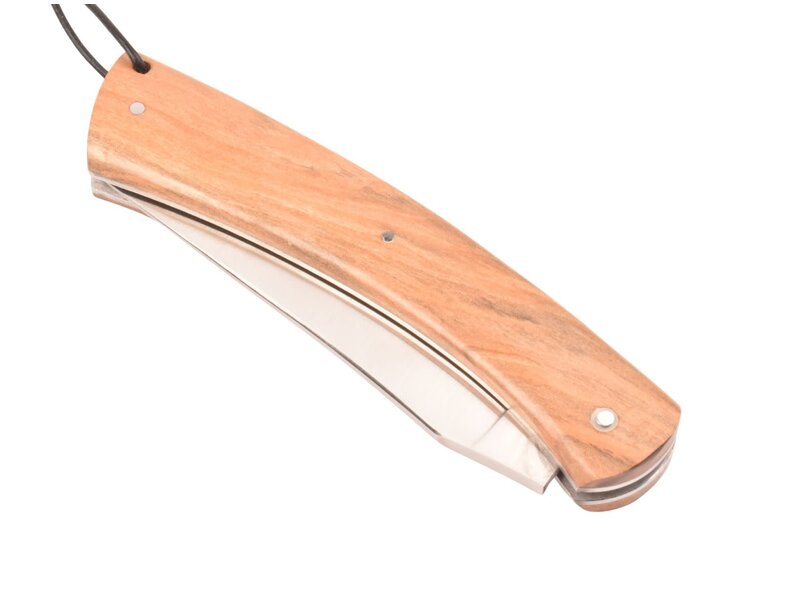 Camembert 11cm appel