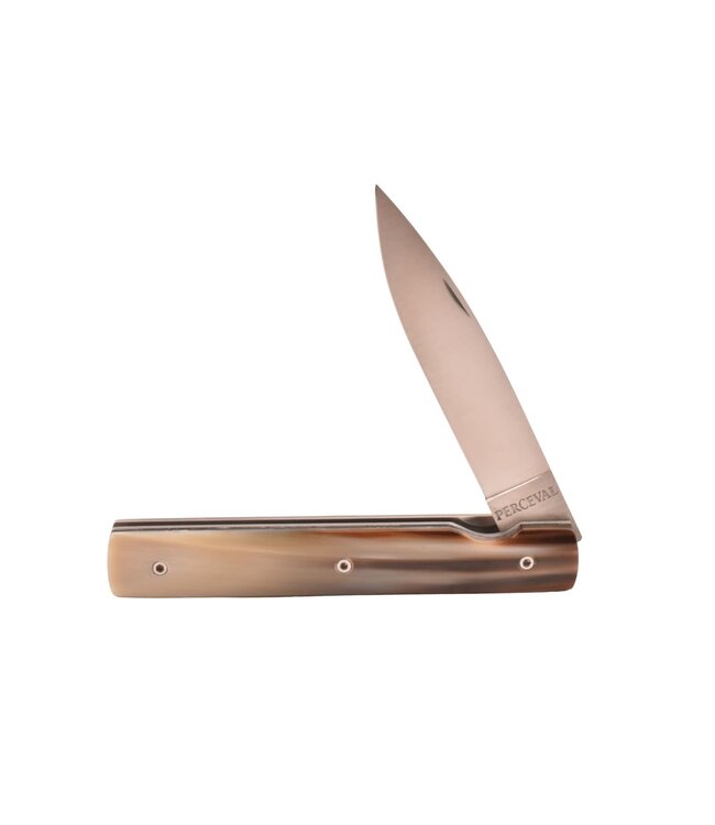 Perceval Le Français - zebu hoorn