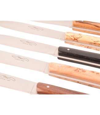 TMC 6 steakmessen 'Zen' - verschillende houtsoorten