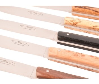 TMC 6 steakmessen 'Zen' - verschillende houtsoorten