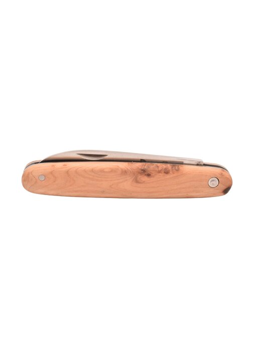 Goyon-Chazeau Navette 10cm jeneverbes - plein manche