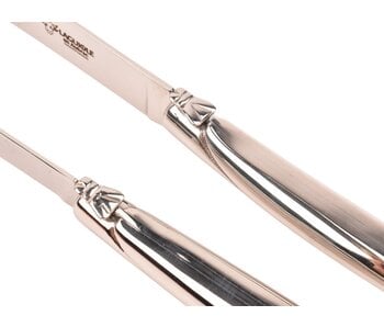 Laguiole en Aubrac 2 steakmessen rvs - glanzend