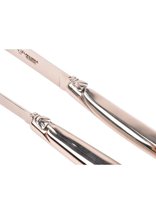 Laguiole en Aubrac 2 steakmessen rvs - glanzend
