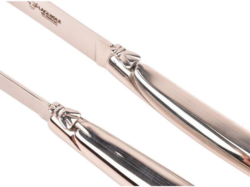 Laguiole en Aubrac 2 steakmessen rvs - glanzend
