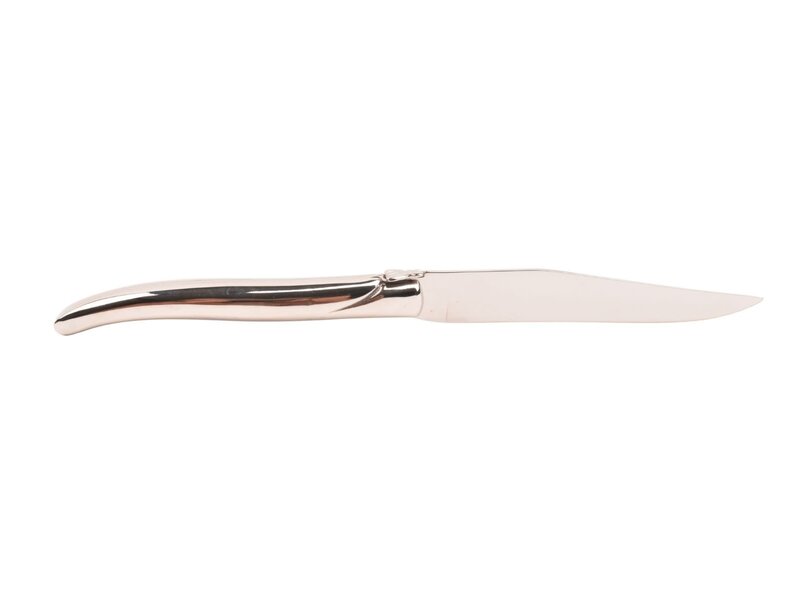 Laguiole en Aubrac 2 steakmessen rvs - glanzend