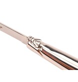 Laguiole en Aubrac 2 steakmessen rvs - glanzend