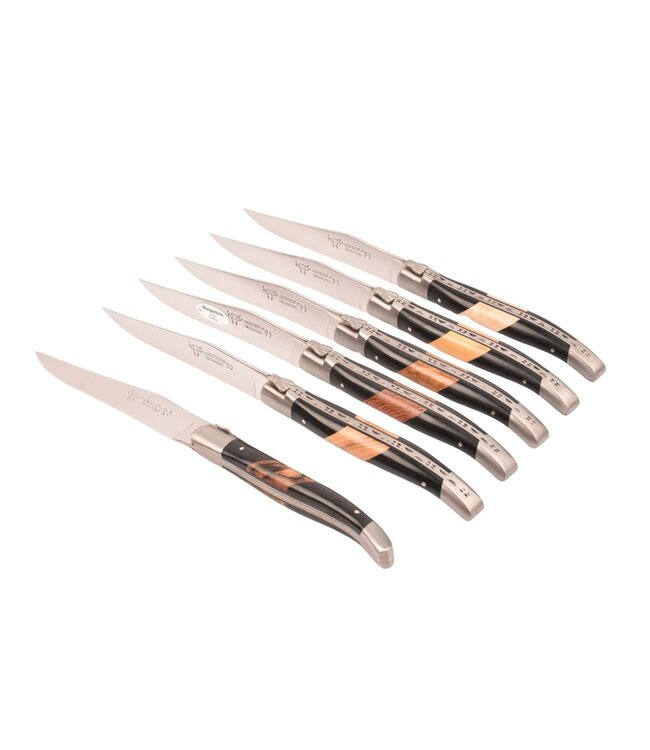 Laguiole en Aubrac 6 steakmessen diverse houtsoorten/paperstone - mat