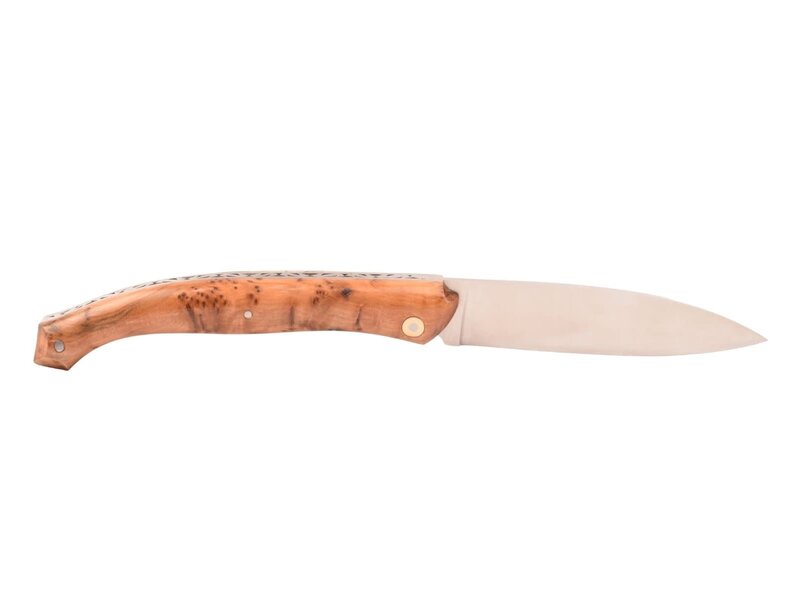 Saint Amans des Côts 12cm jeneverbes