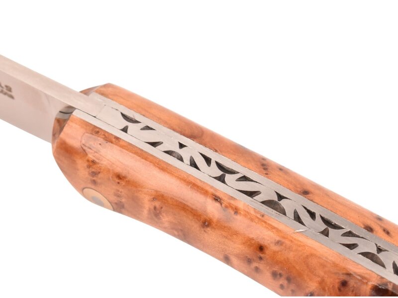 Saint Amans des Côts 12cm jeneverbes