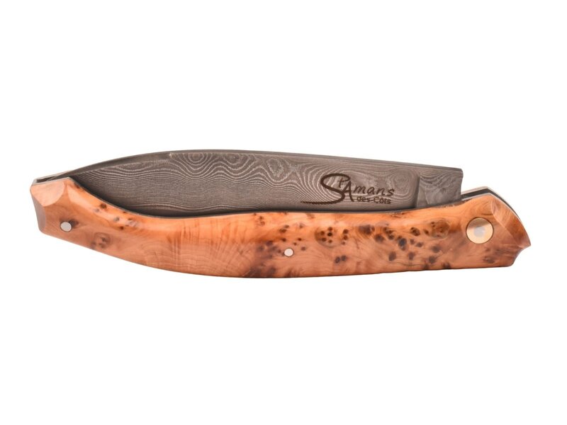 Saint Amans des Côts 12cm jeneverbes - damast