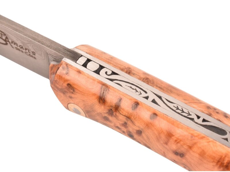 Saint Amans des Côts 12cm jeneverbes - damast