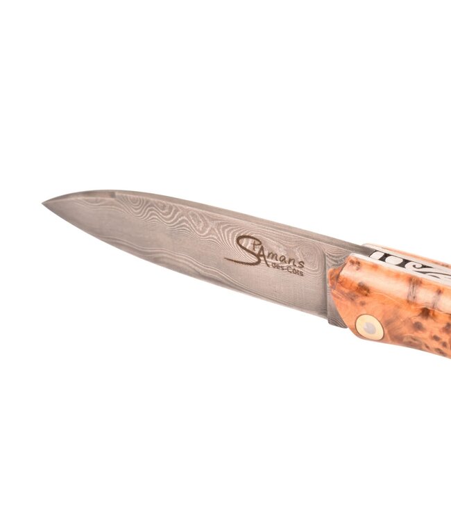 Saint Amans des Côts 12cm jeneverbes - damast