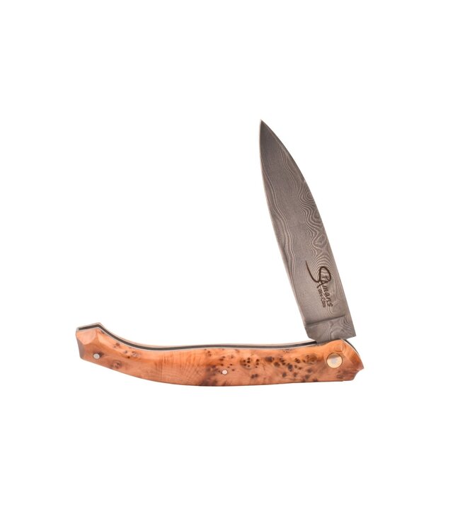 Saint Amans des Côts 12cm jeneverbes - damast