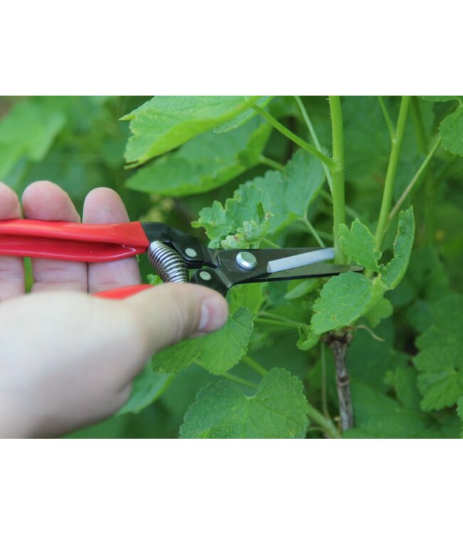 Ars bloemen/fruit/oogstschaar